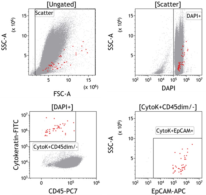 C75112_DURAClone RE CTC Tube, 15 Tests, RUO